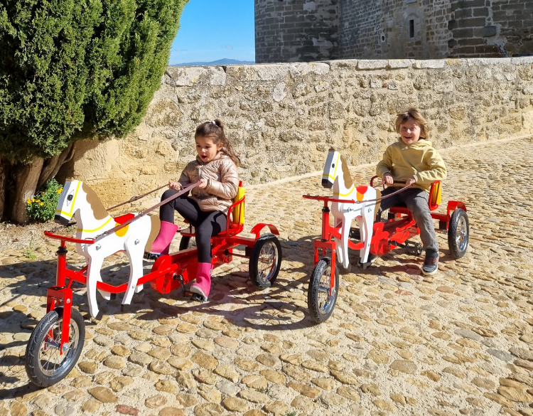 Balade en sulky dans le parc du château