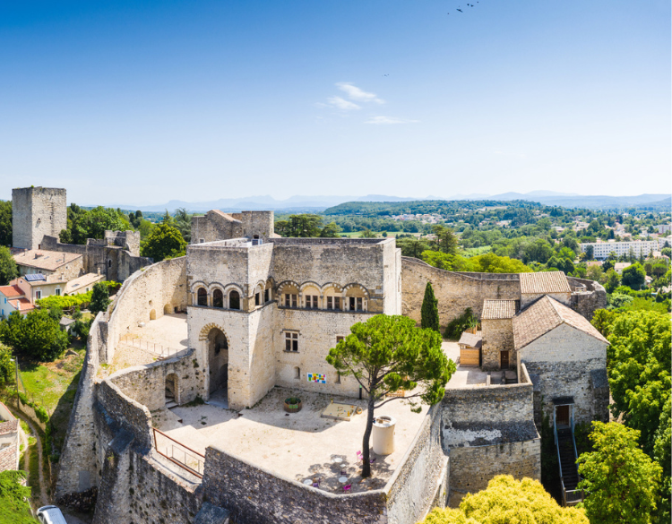 Aux marches du Palais